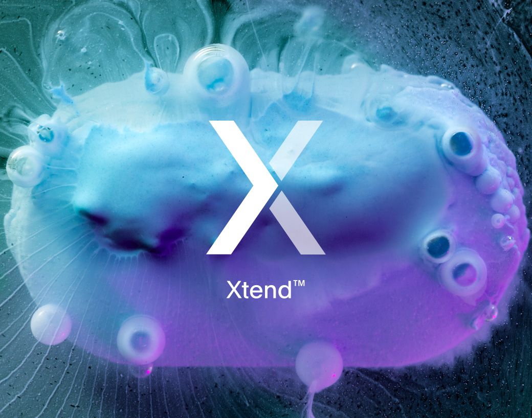 Prueba de disolución Xtend con tableta de disolución