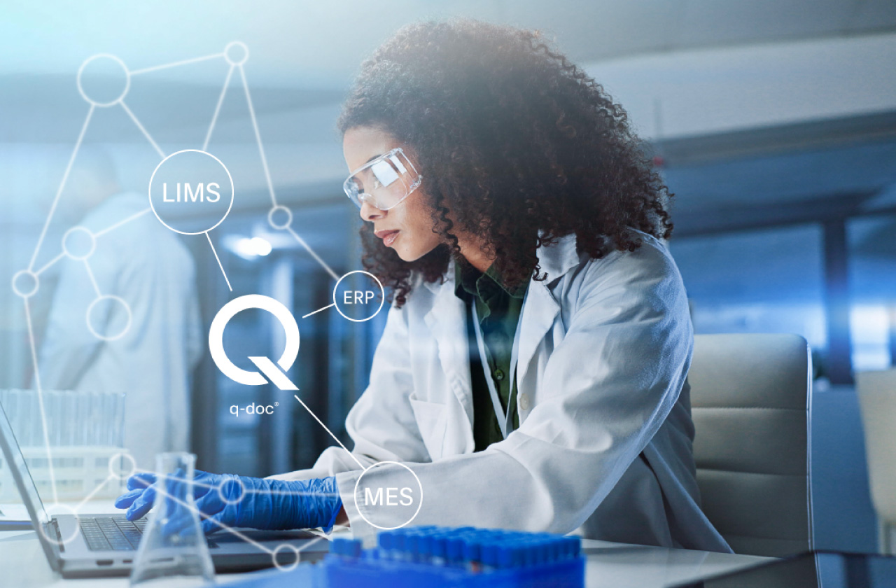 The new DataLink™ SQL Export add-on for q-doc® allows the seamless exchange of data with enterprise data management systems